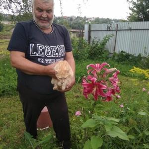 Николай, 63 года, Колюбакино