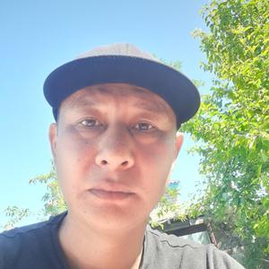 Купидон, 39 лет, Астана
