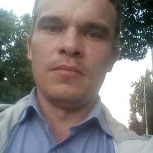 Дима, 37 лет, Губкин
