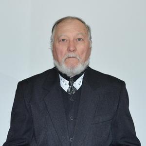 Никитич, 78 лет, Воронеж