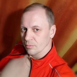 Александр, 43 года, Кольчугино