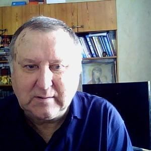 Анатолий Щебуняев, 64 года, Благовещенск