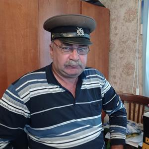 Дима, 65 лет, Шимск