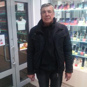 Андрей, 67 лет, Ставрополь