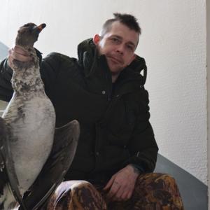 Парни в Витебске (Беларусь): Сергей, 40 - ищет девушку из Витебска (Беларусь)