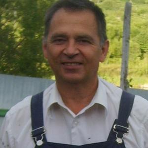 Николай, 68 лет, Новосибирск
