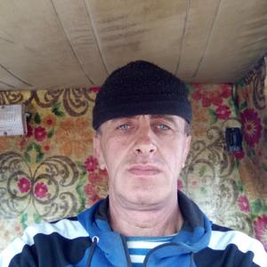 Вячеслав, 52 года, Ярославль