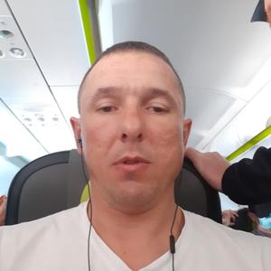 Владимир, 42 года, Барнаул