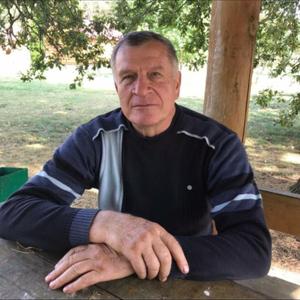 Виктор, 72 года, Брянск