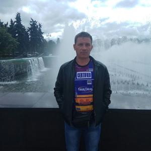Парни в Гатчине: Димитрий, 51 - ищет девушку из Гатчины