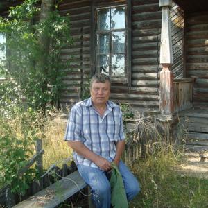 Владимир, 68 лет, Жигулевск