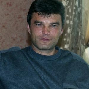 Олег Котов, 59 лет, Ярославль
