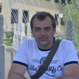Dima, 51 год, Тула