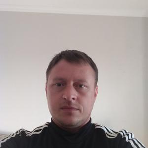 Анатолий Курлаев, 45 лет, Ташкент
