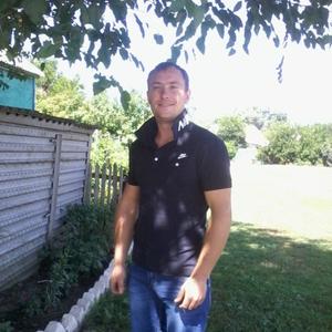 Анатолий, 36 лет, Миллерово