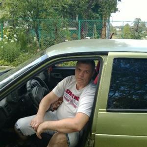 Дмитрий, 38 лет, Сафоново
