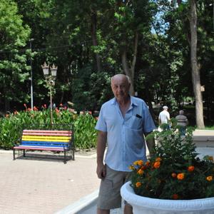 Парни в Невинномысске: Вячеслав, 70 - ищет девушку из Невинномысска