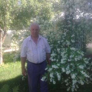Парни в Туле (Тульская обл.): Валерий, 68 - ищет девушку из Тулы (Тульская обл.)