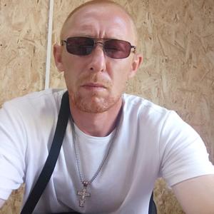 Алексей Никитин, 47 лет, Павловск