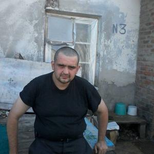 Serge, 40 лет, Киев