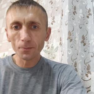 Андрей, 42 года, Кулунда