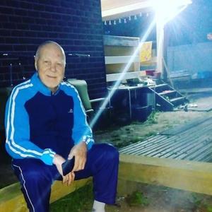 Парни в Челябинске: Петр, 79 - ищет девушку из Челябинска