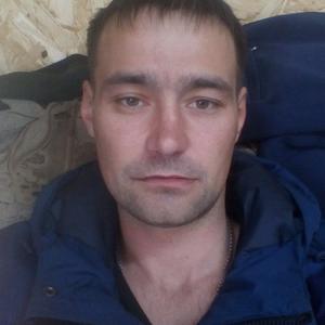 Макс, 36 лет, Дмитров