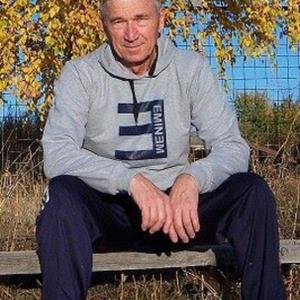 Петр, 76 лет, Курск