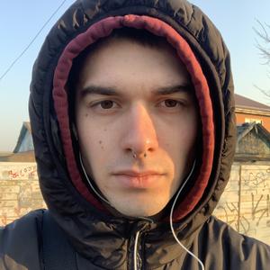 Владимир, 23 года, Краснодар