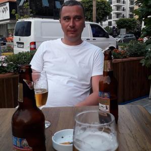Алекс, 41 год, Петрозаводск