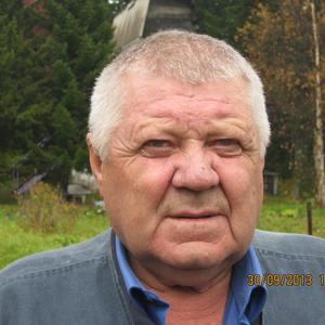 Анатолий Алексан Иванов, 77 лет, Красноярск