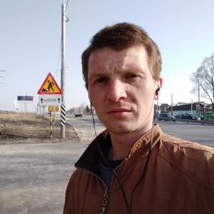 Динис Рорнилов, 33 года, Владимир
