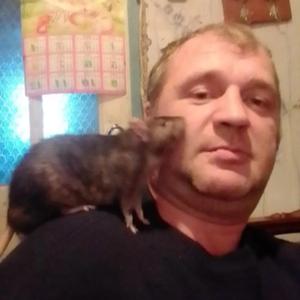 Sergei, 44 года, Курск