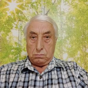 Николай, 68 лет, Краснодар