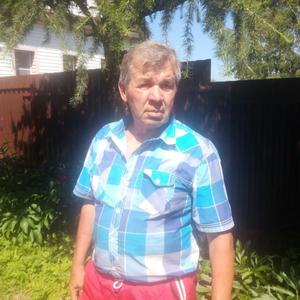 Павел, 71 год, Павлово