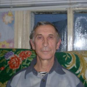 Анатолий Маврин, 71 год, Барнаул