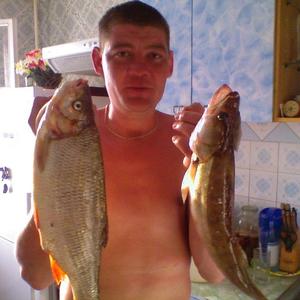 Сергей Козлов, 46 лет, Нижний Новгород