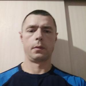 Николай Колдаев, 46 лет, Абакан
