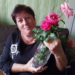 Валентина, 67 лет, Белинский
