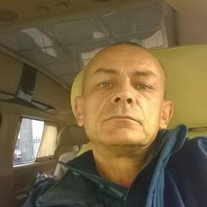 Игорь Радчинский, 55 лет, Брянск
