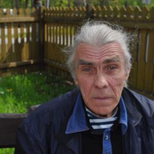 Aleks, 68 лет, Тверь