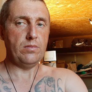 Александр, 47 лет, Вологда