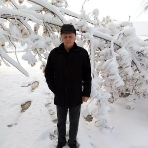 Парни в Еманжелинске: Николай, 56 - ищет девушку из Еманжелинска