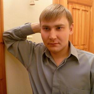 Николай, 36 лет, Томск