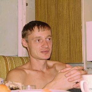 Сергей, 43 года, Благовещенск