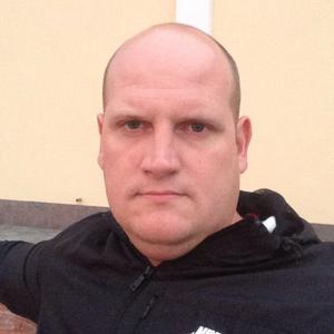 Алексей, 41 год, Волхов