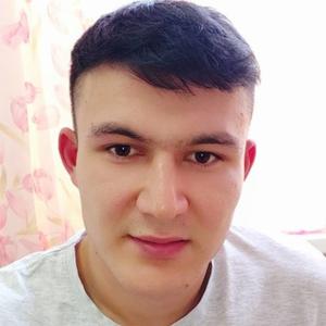 Максим Кенжаев, 33 года, Ташкент