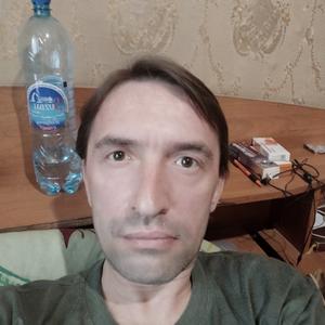 Рекс, 44 года, Владимир