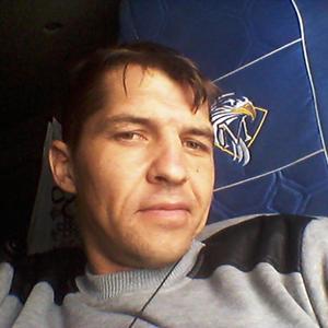 Николай, 45 лет, Великий Новгород