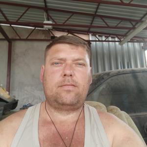 Александр, 41 год, Краснодар